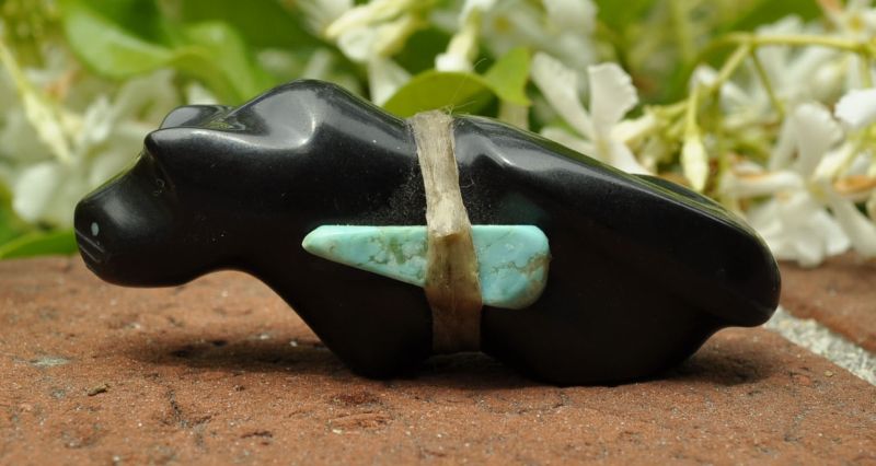 Zuni Pueblo mountain lion cougar fetish carving carved in jet with turquoise arrowhead strapped on back